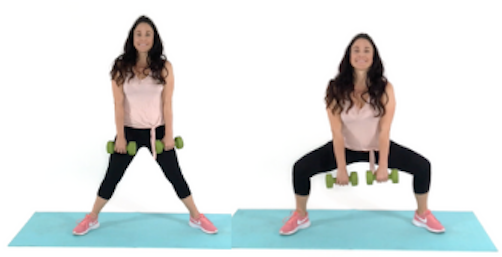 Plie Squat Thigh Exercise done by trainer Christina Carlyle