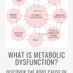 text that says "What Is Metabolic Dysfunction?" and an infographic explaining metabolic dysfunction