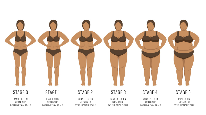 What Is Metabolic Dysfunction?