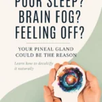 Pinterest pin for Dr. Christina Carlyle about how to decalcify the pineal gland, featuring a soft green wellness-style background with hands holding a head cutout and colorful brain imagery. Text highlights pineal gland detox, poor sleep, brain fog, and feeling off.