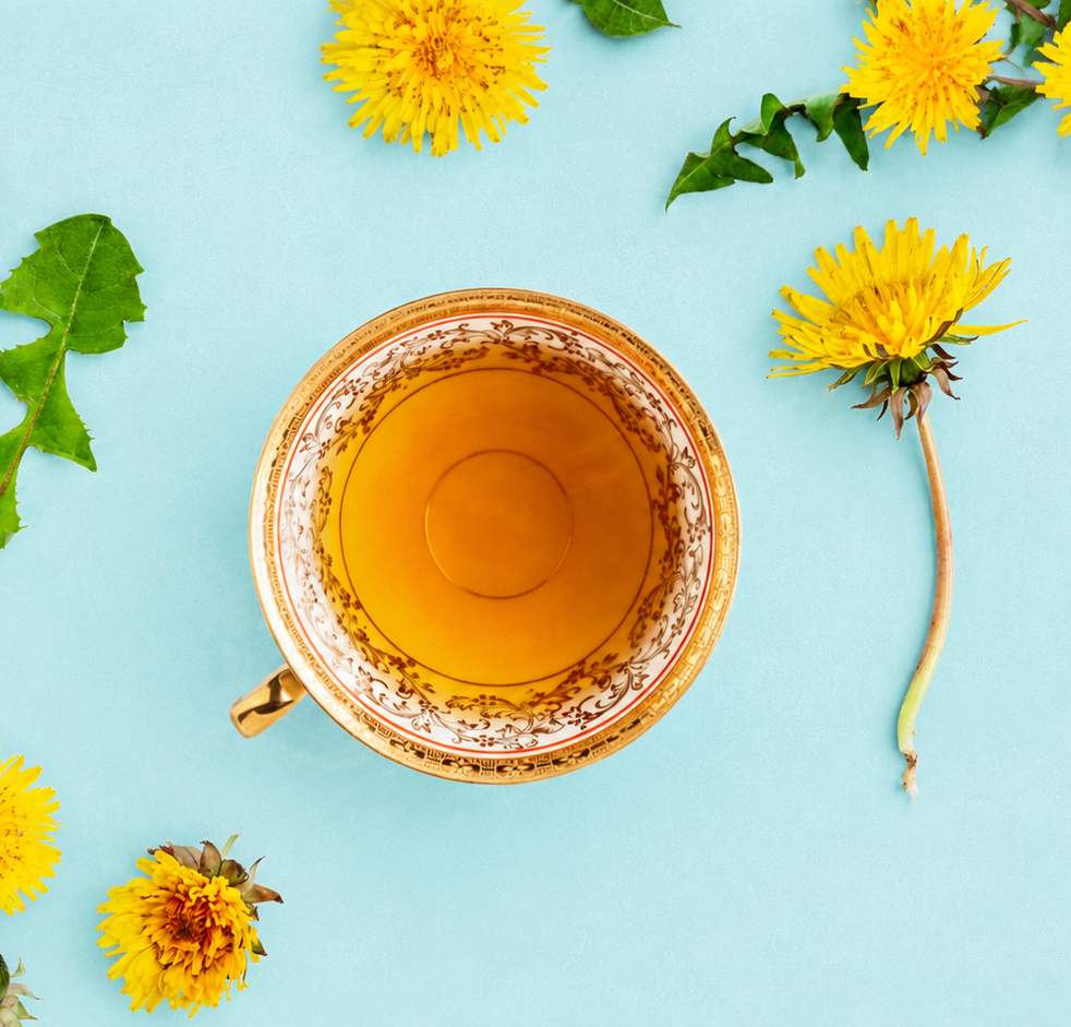 Dandelion Tea Benefits A cup of amber dandelion tea surrounded by yellow dandelion flowers, buds, and green leaves on a light robin egg blue background.