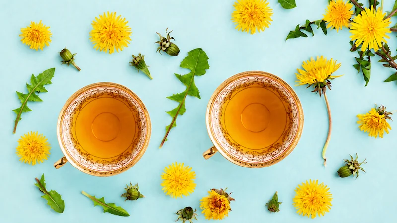 Dandelion Tea Benefits and Why You Should Drink it Daily