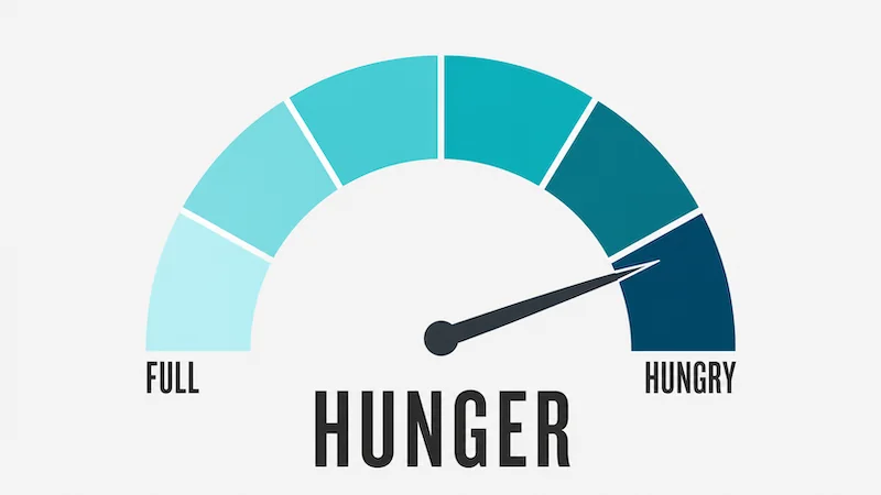 Why Am I Always Hungry?