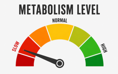 Signs of a Slow Metabolism and What They Really Mean